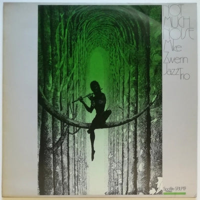 MIKE ZWERIN JAZZ TRIO - Not Much Noise