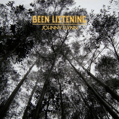 JOHNNY FLYNN - Been Listening