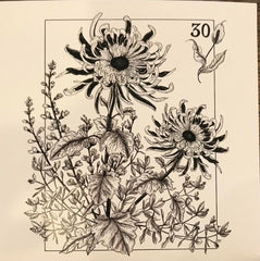PRRSR - 30