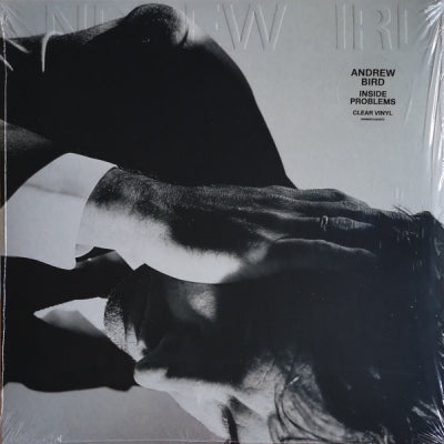 ANDREW BIRD - Inside problems
