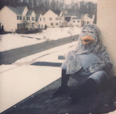 THE WONDER YEARS - Suburbia I've Given You All And Now I'm Nothing
