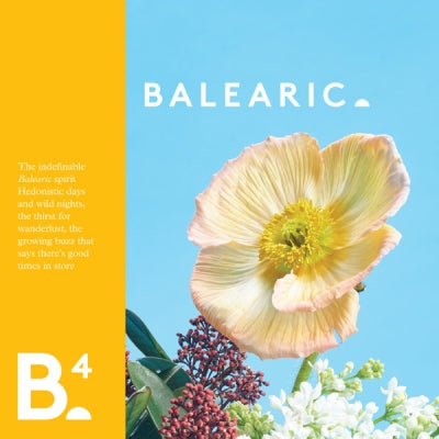VARIOUS - Balearic 4