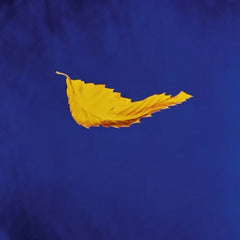 NEW ORDER - True Faith