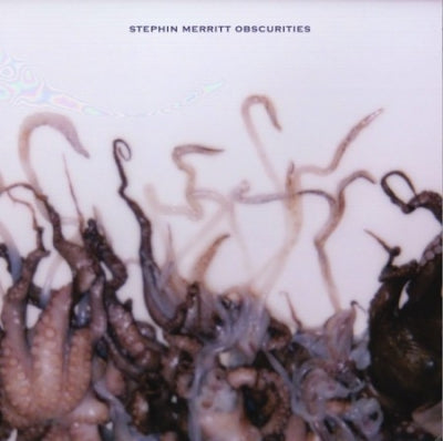 STEPHIN MERRITT - Obscurities