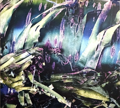 POLYPORES - Multizonal Mindscramble