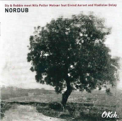 SLY & ROBBIE MEET NILS PETTER MOLVæR FEATURING EIVIND AARSET AND VLADISLAV DELAY - Nordub