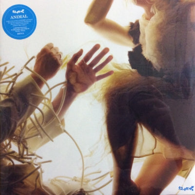 LUMP - Animal
