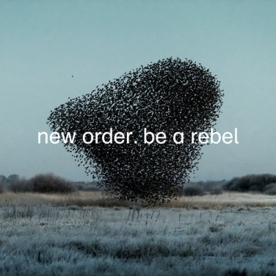 NEW ORDER - Be A Rebel