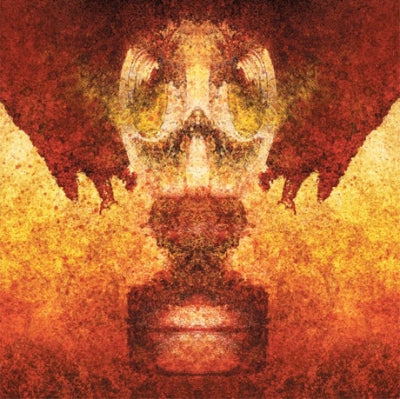 NO WARNING - Suffer, Survive