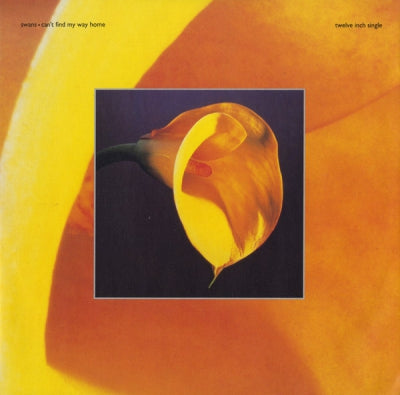 SWANS  - Can't Find My Way Home