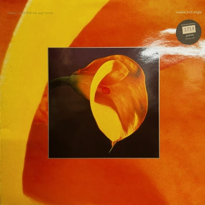SWANS  - Can't Find My Way Home
