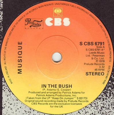 MUSIQUE - In The Bush