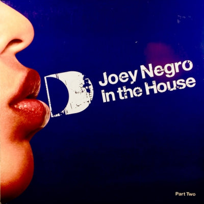 VARIOUS - Joey Negro – In The House (Part Two)