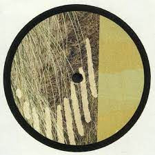 PARRIS - Terrapin EP