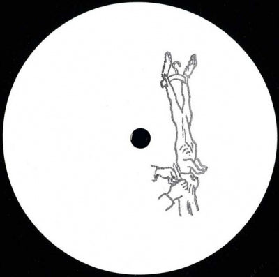 PANTHERA KRAUSE - Solar System