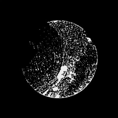 SKUDGE - Phantom
