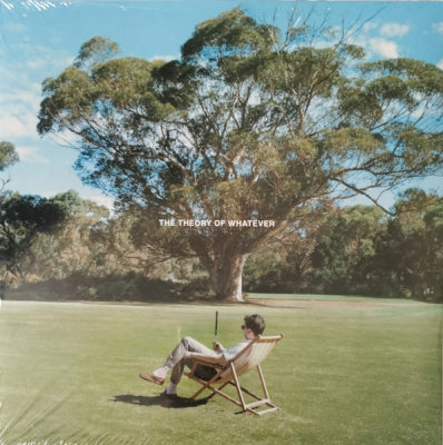 JAMIE T - The Theory Of Whatever