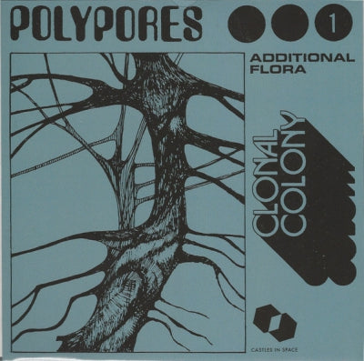 POLYPORES - Additional Flora: Clonal Colony / Peculiar Growths