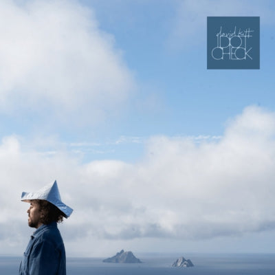 DAVID KITT - Idiot Check
