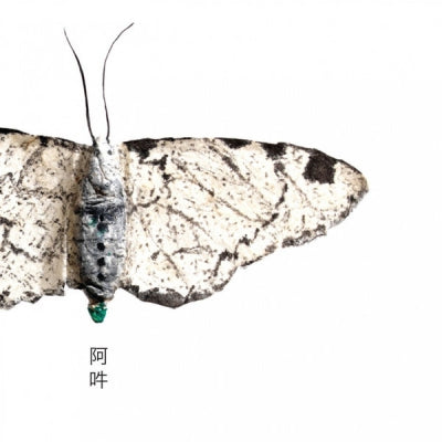 CHRISTIAN FENNESZ - AUN – The Beginning And The End Of All Things