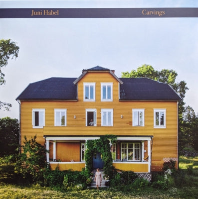JUNI HABEL - Carvings