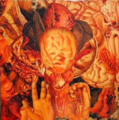 FESTERDECAY - Reality Rotten To The Core