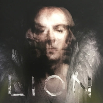 PETER MURPHY - Lion