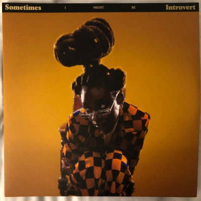 LITTLE SIMZ - Sometimes I Might Be Introvert