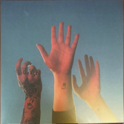 BOYGENIUS - The Record