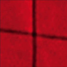 WILLIAM BASINSKI - A Red Score In Tile