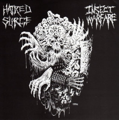INSECT WARFARE / HATRED SURGE - Insect Warfare / Hatred Surge