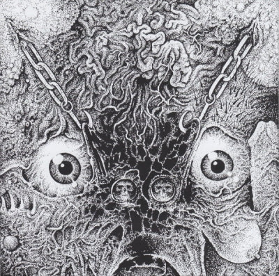 INSECT WARFARE AND THE KILL - RSR Presents The 48 Second Split Flexi