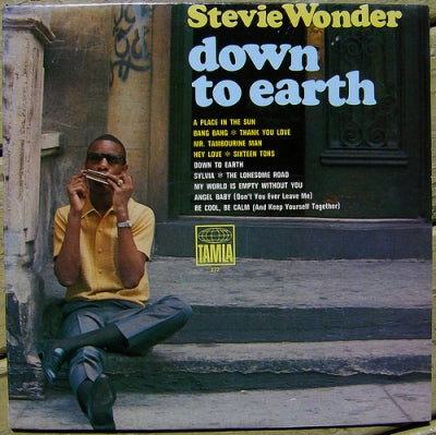 STEVIE WONDER - Down To Earth