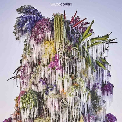 WILCO - Cousin