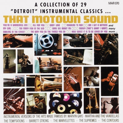 VARIOUS ARTISTS - Detroit Instrumental: A Collection Of 29 "Detroit" Instrumental Classics...That Motown Sound