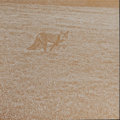 VARIOUS - Comme De Loin