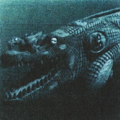 RAINFOREST SPIRITUAL ENSLAVEMENT - Black Magic Cannot Cross Water