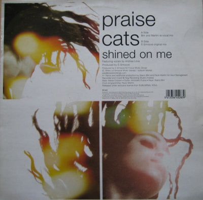 PRAISE CATS - Shined On Me