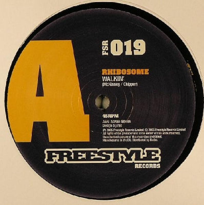 RHIBOSOME - Walkin'