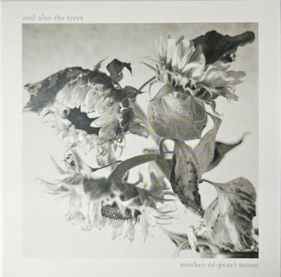 AND ALSO THE TREES - Mother-Of-Pearl Moon