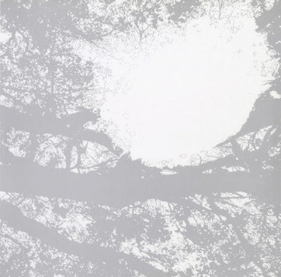 COMETS ON FIRE - Field Recordings From The Sun