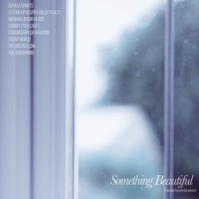 VARIOUS - Something Beautiful