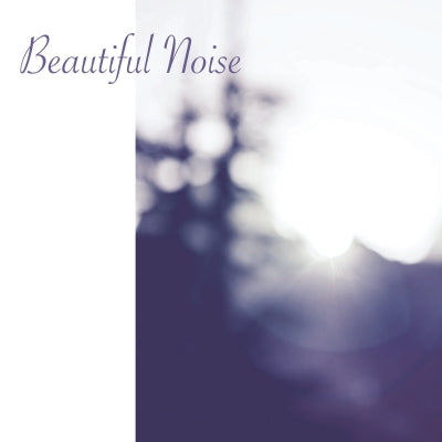 VARIOUS - Beautiful Noise