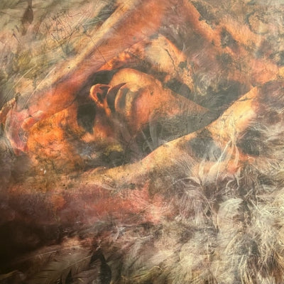 CONVERGE - Unloved And Weeded Out
