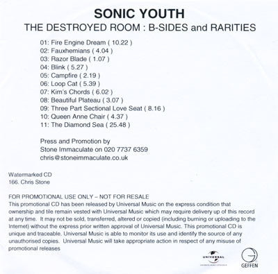 SONIC YOUTH - The Destroyed Room B-Sides And Rarities