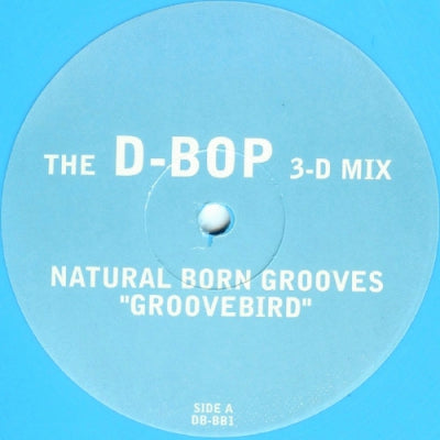 NATURAL BORN GROOVES - Groovebird