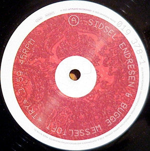 SIDSEL ENDRESEN & BUGGE WESSELTOFT - Try