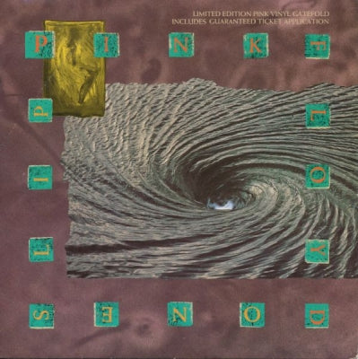 PINK FLOYD - One Slip / Terminal Frost