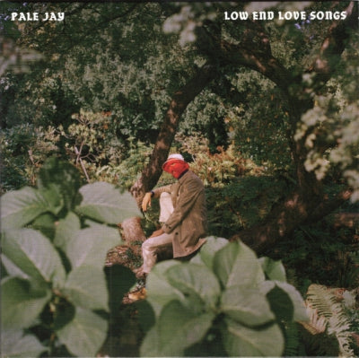 PALE JAY - Low End Love Songs