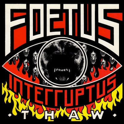 FOETUS INTERRUPTUS - Thaw